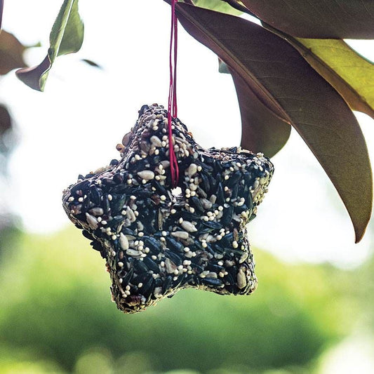 Little Star Birdseed Treat