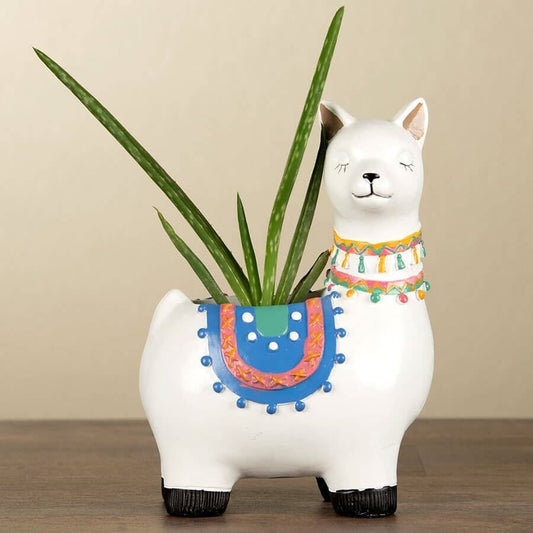 Aloe Vera in Llama Planter