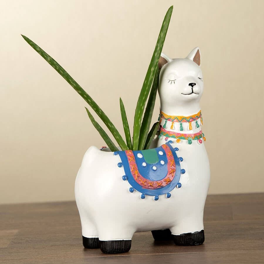Aloe Vera in Llama Planter