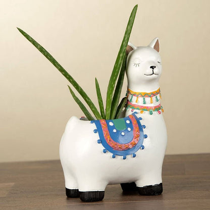 Aloe Vera in Llama Planter