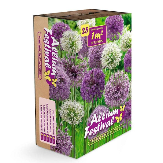 Ornamental Onion Bulbs Festival Box Set