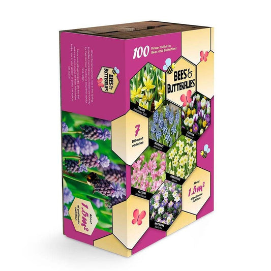 Bees & Butterflies Bulbs Box Set