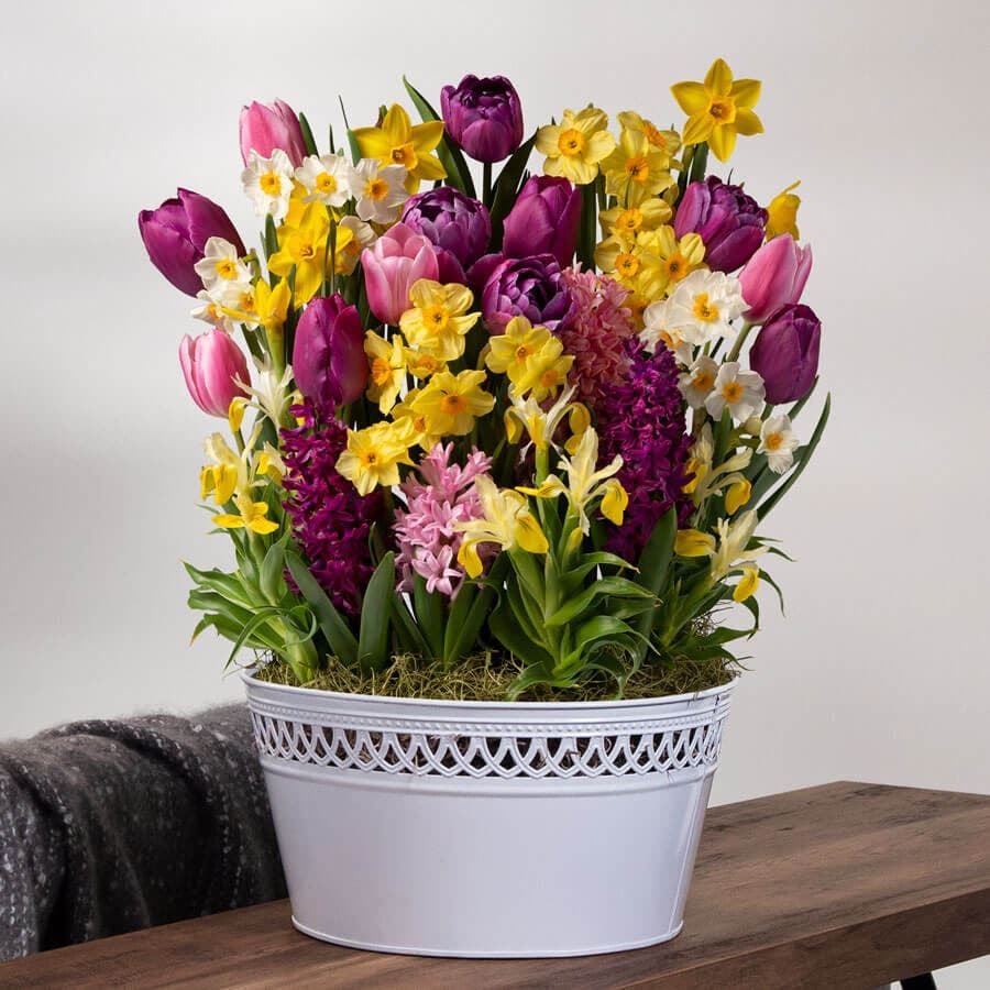 Seasons Renewal Bulb Garden