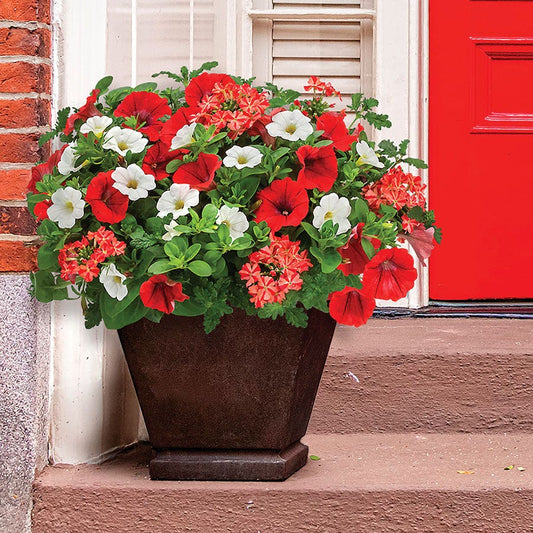 Blooming Block Kwik Kombos™ Walk of Stars™ Standard Mix