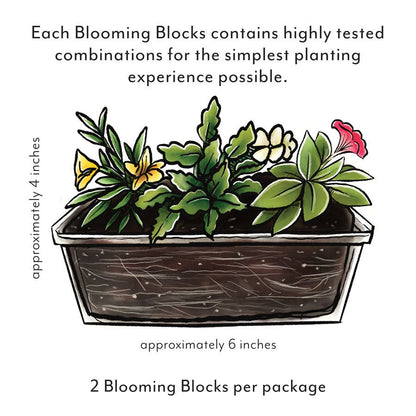 Blooming Block Kwik Kombos™ Walk of Stars™ Standard Mix