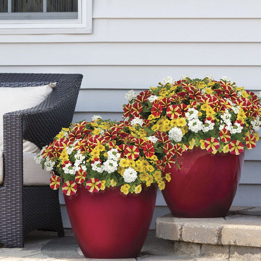 Blooming Block Durabella® The Queen Mix