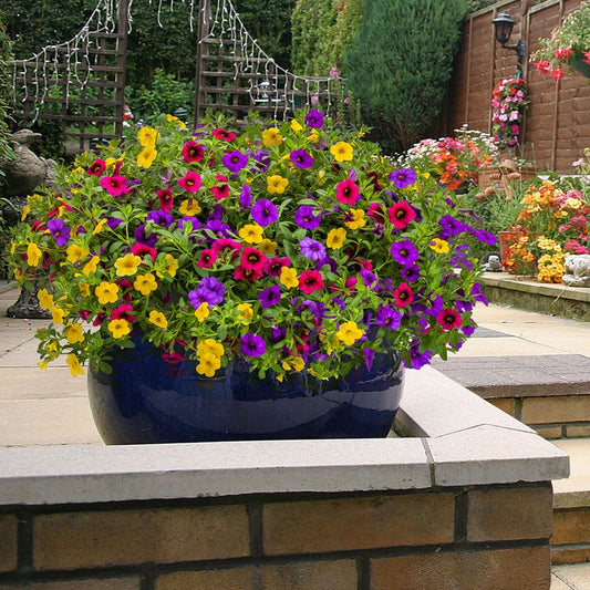 Blooming Block Kwik Kombos™ Cabrio™ Speed Limit™ Mix