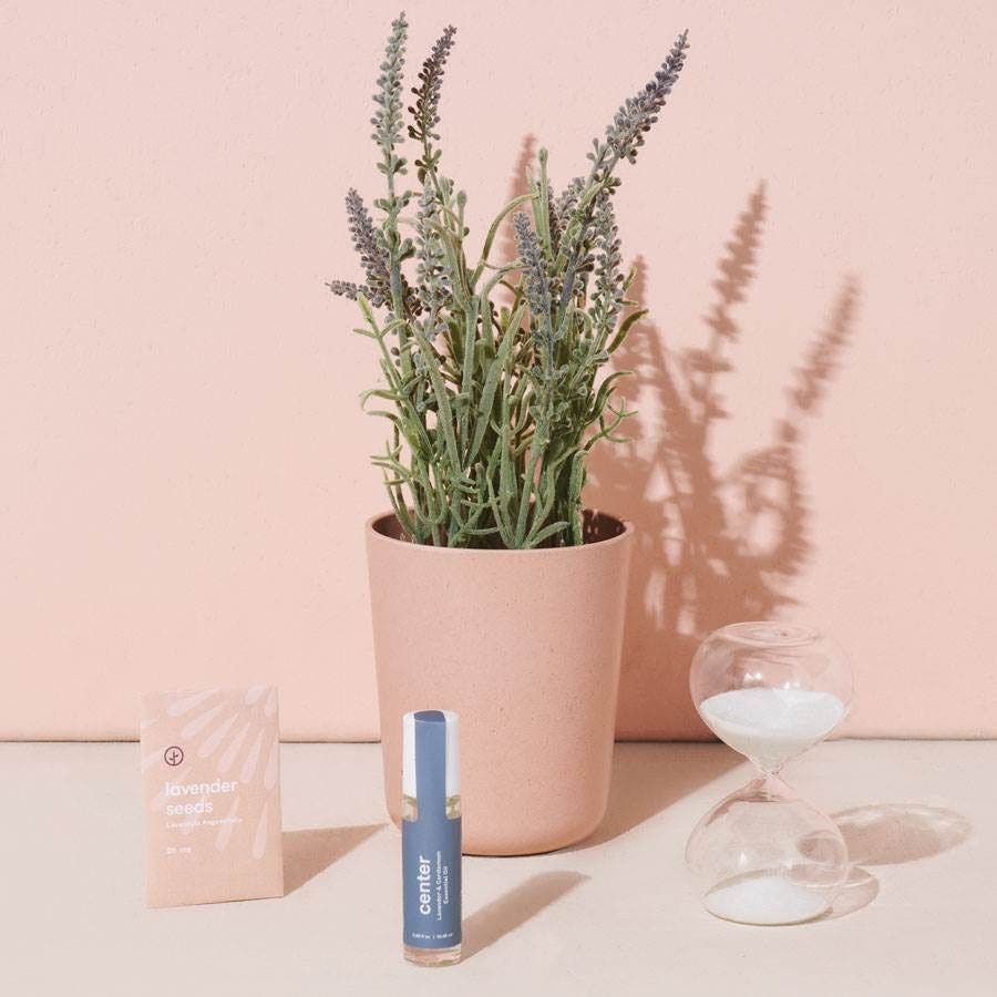 Modern Sprout Meditation Kit