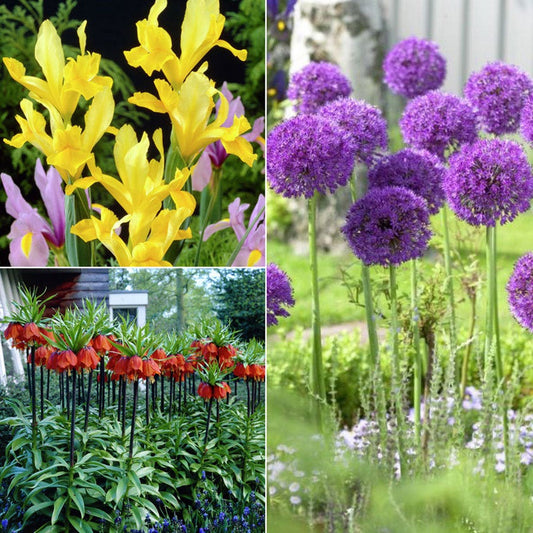 Critter Resistant Bulb Garden Blend