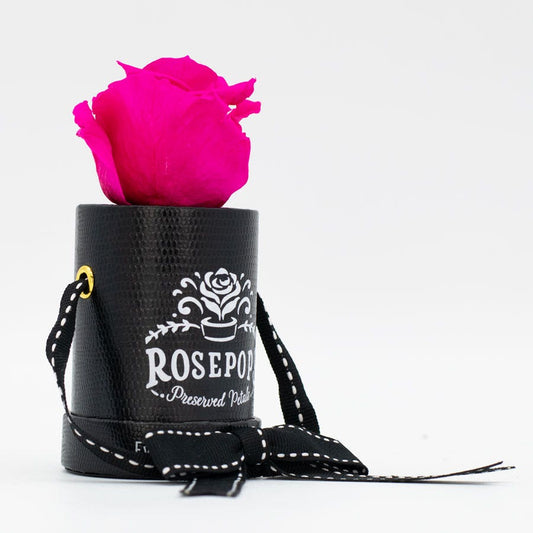 Rosepops™ One Up Raspberry Punch Preserved Rose
