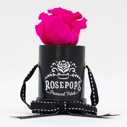 Rosepops™ One Up Raspberry Punch Preserved Rose