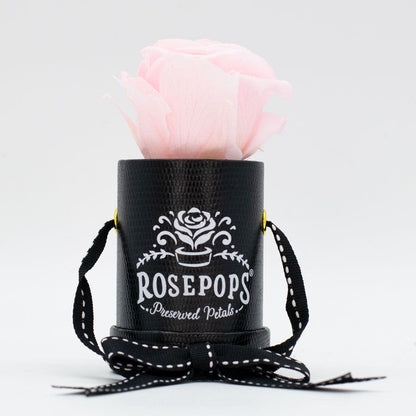 Rosepops™ One Up Cotton Candy Preserved Rose