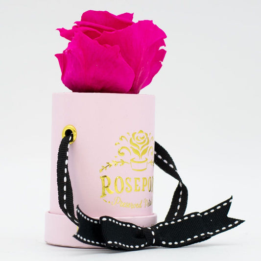 Rosepops™ One Up Raspberry Punch Preserved Rose