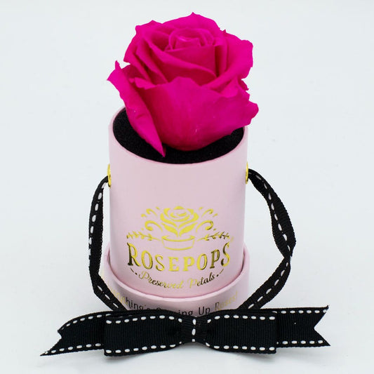 Rosepops™ One Up Raspberry Punch Preserved Rose