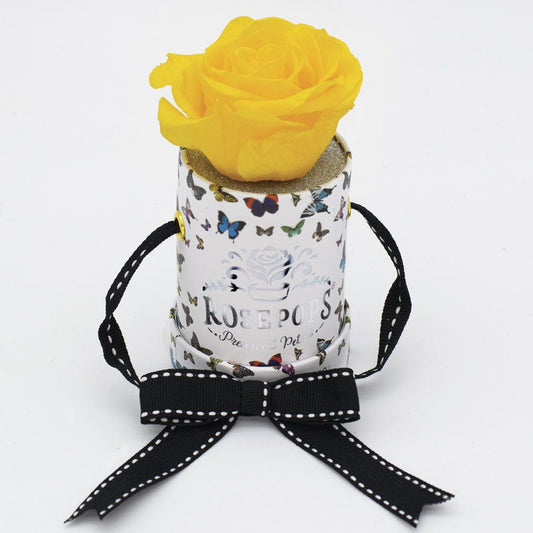Rosepops™ Butterfly One Up Lemon Sorbet Preserved Rose
