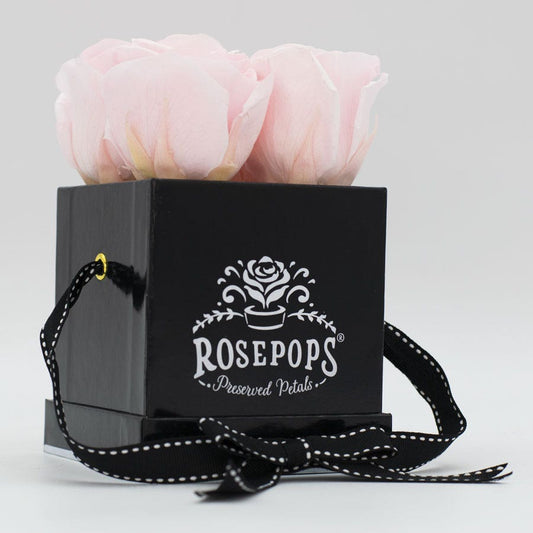 Rosepops™ Fourget Me Not Cotton Candy Preserved Roses