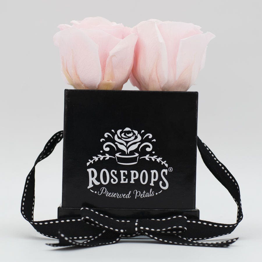 Rosepops™ Fourget Me Not Cotton Candy Preserved Roses