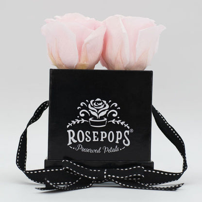 Rosepops™ Fourget Me Not Cotton Candy Preserved Roses