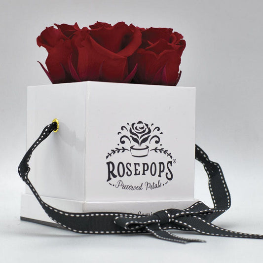 Rosepops™ Fourget Me Not Cherry Crush Preserved Roses