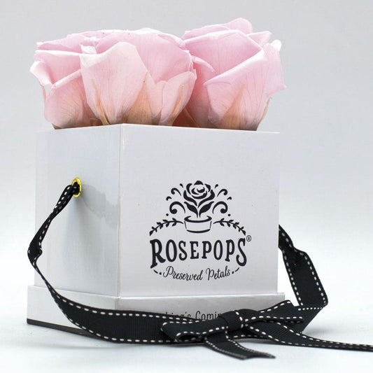 Rosepops™ Fourget Me Not Cotton Candy Preserved Roses