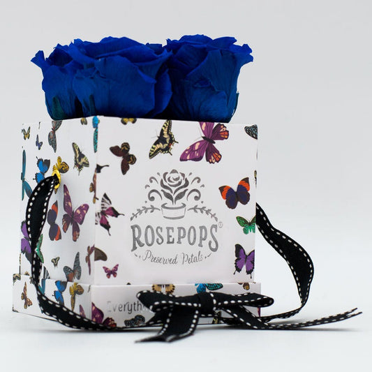 Rosepops™ Fourget Me Not Blue Sapphire Preserved Roses
