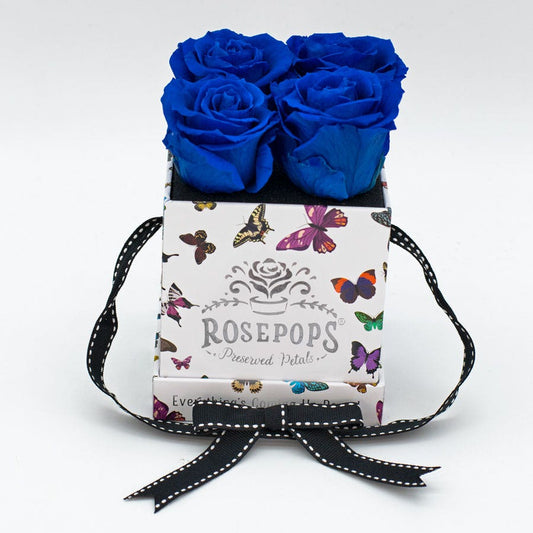 Rosepops™ Fourget Me Not Blue Sapphire Preserved Roses