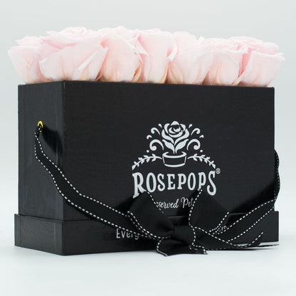 Rosepops™ Keeper by the Dozen Cotton Candy Preserved Roses