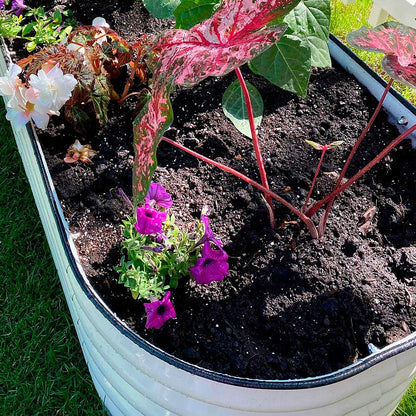 Vego Garden® 17-Inch 6 In 1 Modular Metal Raised Bed (White)