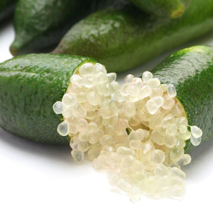 Citrus Australian Finger Lime Tree