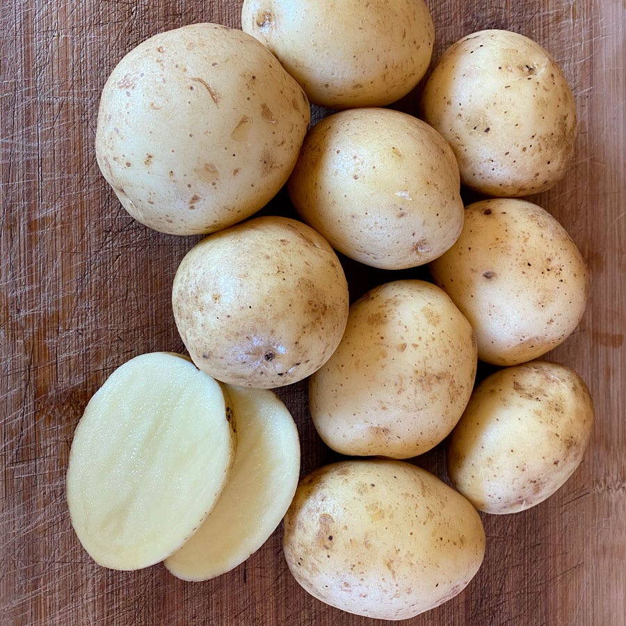 ビンテージ　作家　unknown golden potato object脅威 Golden Globe' Potato - 2 Pound Bag – Wayside Gardens