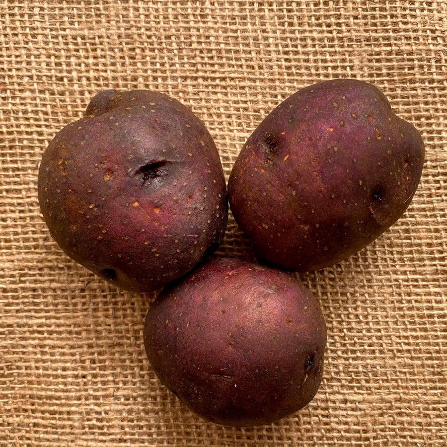 'Harvest Moon' Potato