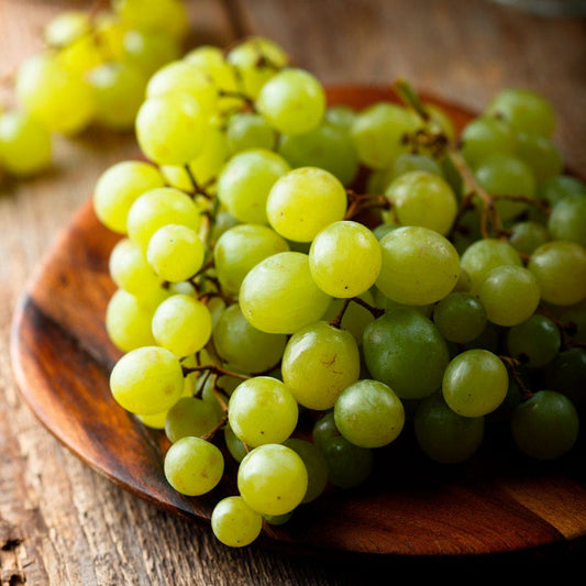 Vitis Niagara White Grape