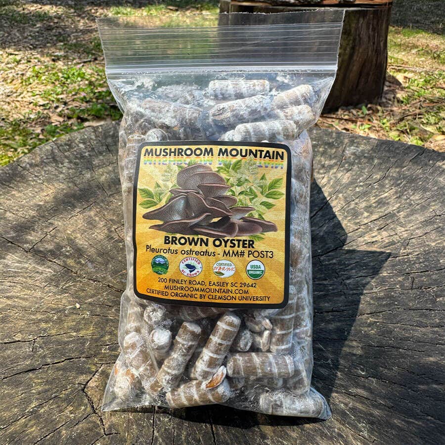 Mushroom Brown Oyster Log Spawn Plugs (100)