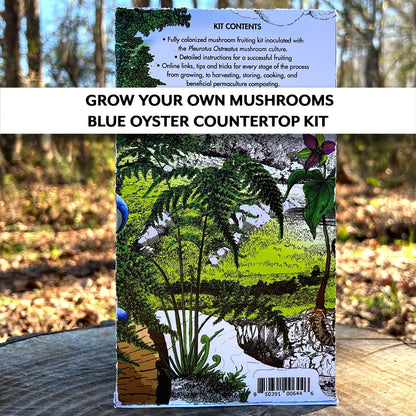 Mushroom Blue Oyster Countertop Kit