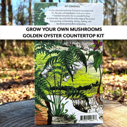 Mushroom Golden Oyster Countertop Kit