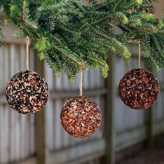 Seed & Nut Ball Birdseed Gift Set
