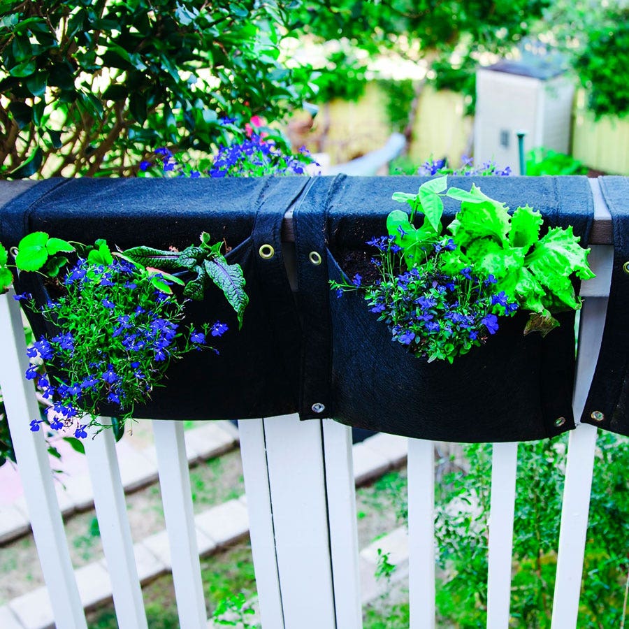 Smart Pot® Wall Flower Saddle Planter 6-Gallon Fabric Planter (Black)