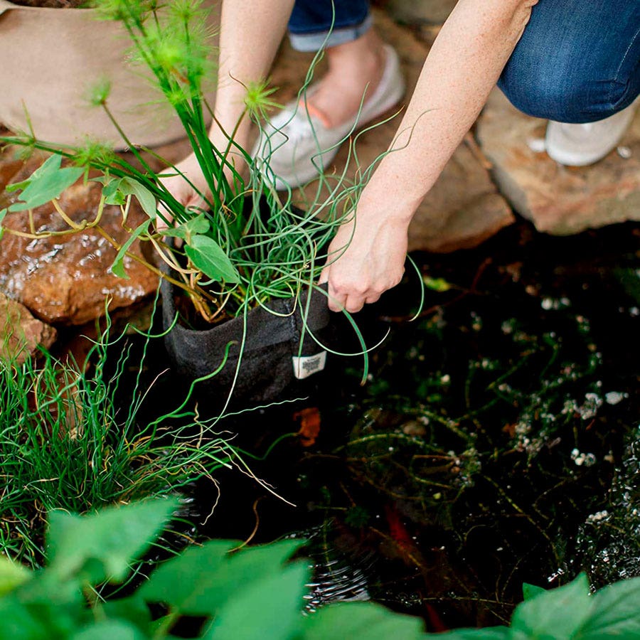 Smart Pot® Pond Pot 1-Gallon Fabric Planter (Black)