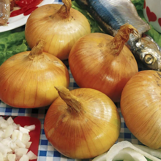 Walla Walla Sweet Onion Sets
