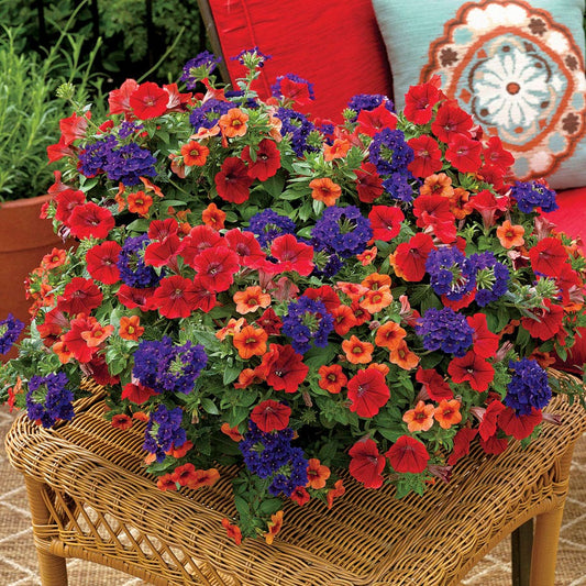 Kwik Kombos™ Southwestern Summer™ Collection