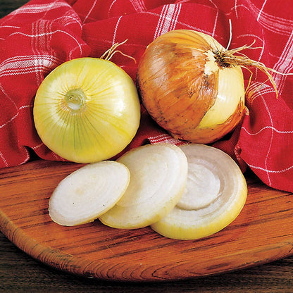 Texas Super-Sweet Onion Sets