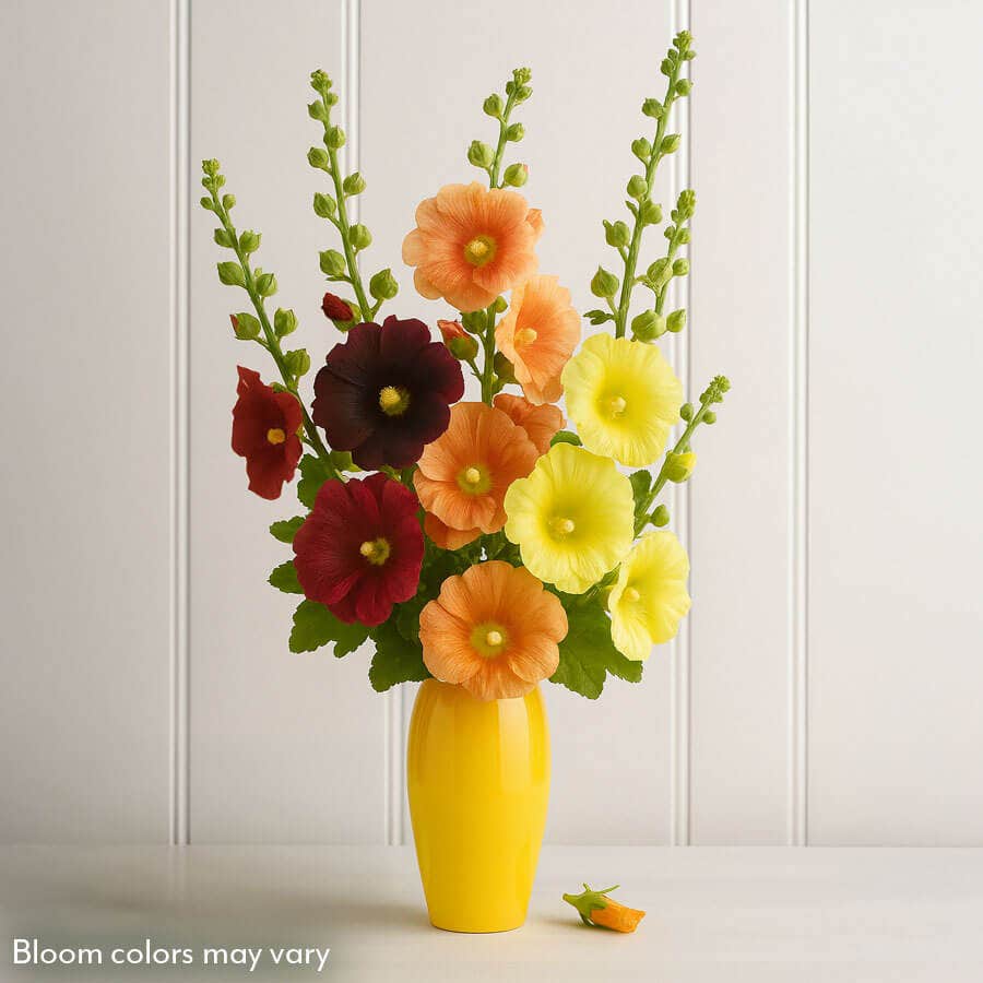 Alcea Old Barnyard Mix