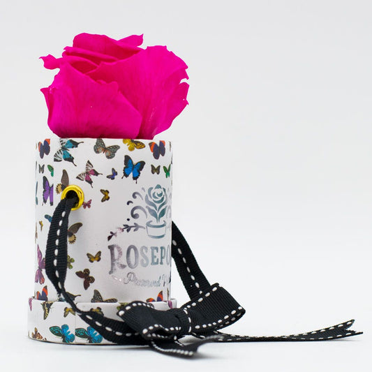 Rosepops™ Butterfly One Up Raspberry Punch Preserved Rose