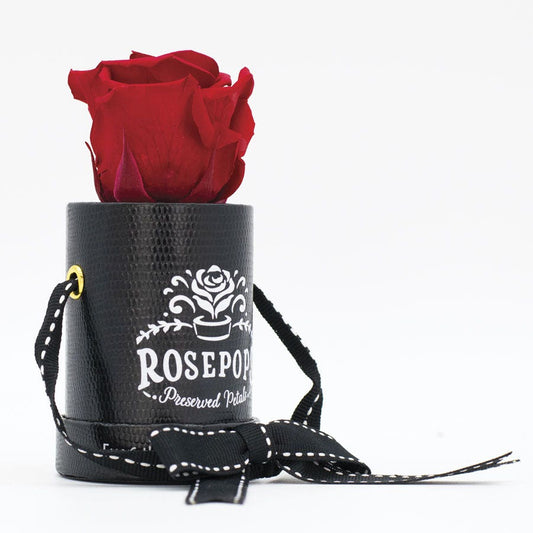 Rosepops™ One Up Cherry Crush Preserved Rose