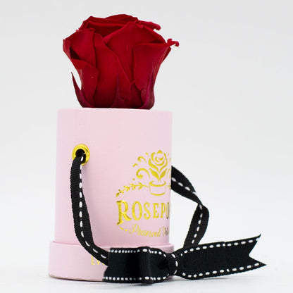 Rosepops™ One Up Cherry Crush Preserved Rose