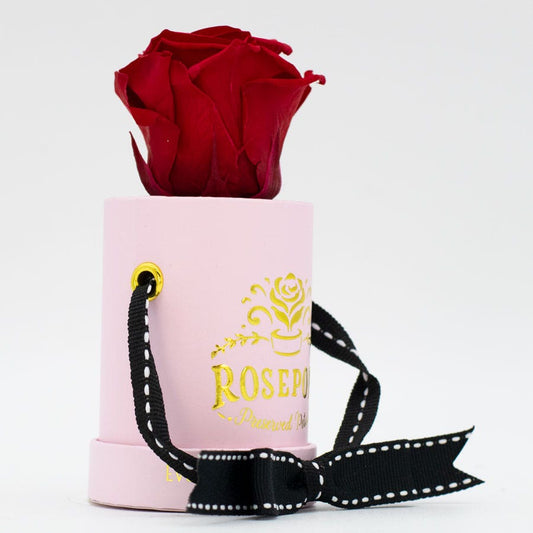 Rosepops™ One Up Cherry Crush Preserved Rose