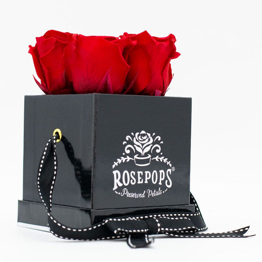 Rosepops™ Fourget Me Not Cherry Crush Preserved Roses