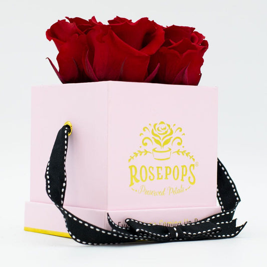 Rosepops™ Fourget Me Not Cherry Crush Preserved Roses