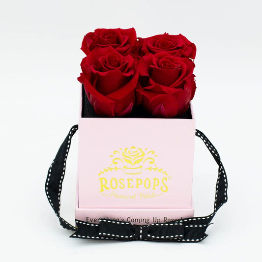 Rosepops™ Fourget Me Not Cherry Crush Preserved Roses