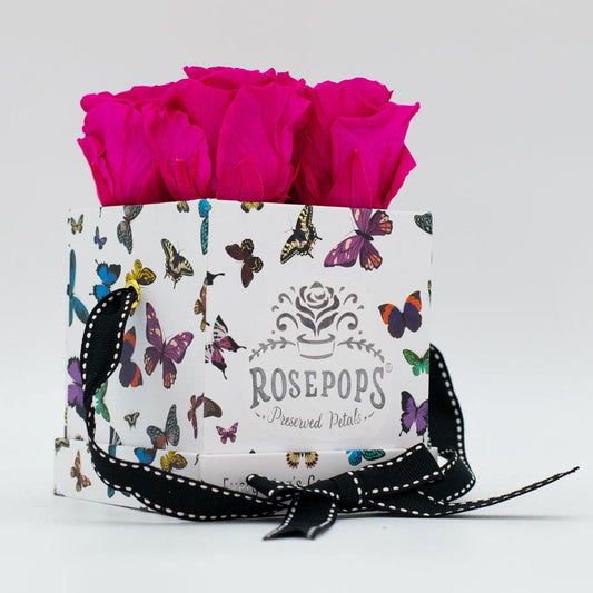 Rosepops™ Fourget Me Not Raspberry Punch Preserved Roses